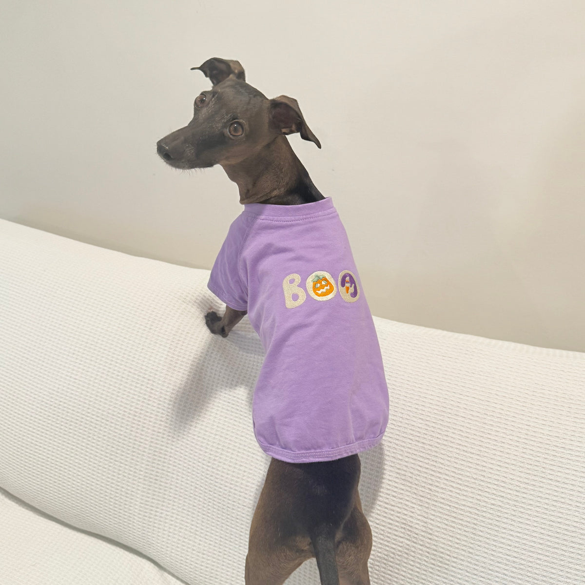 Halloween Sugar Cookie Tee